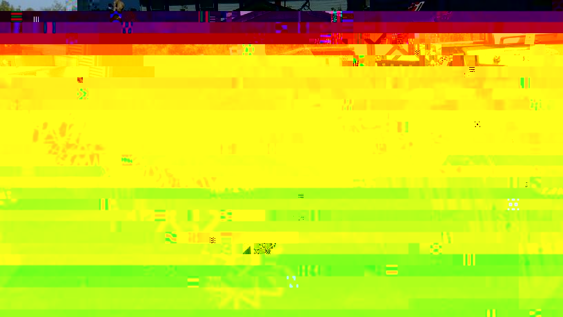 51f.jpg